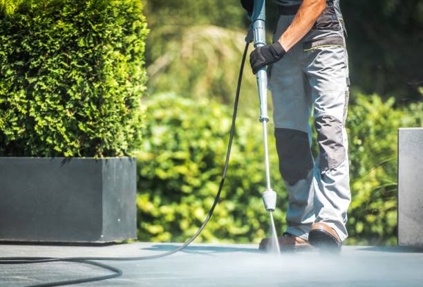 Best Boat and Dock Cleaning  in Combee Settlement, FL