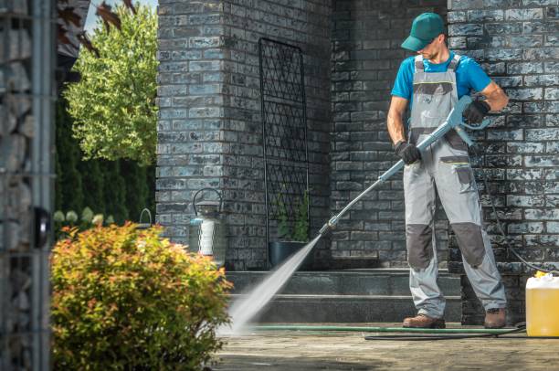 Best Roof Washing  in Combee Settlement, FL