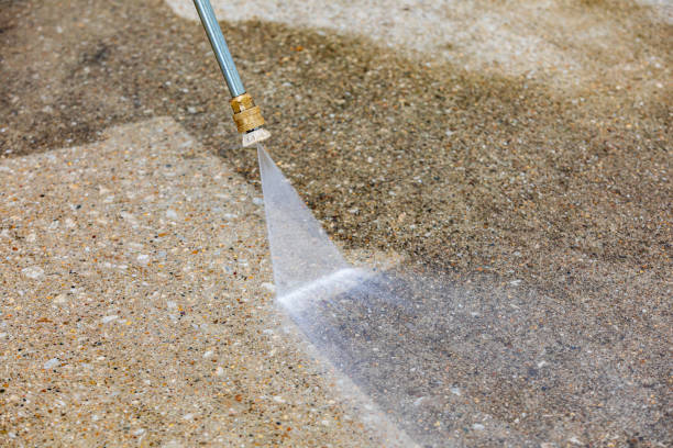 Best Sidewalk and Walkway Cleaning  in Combee Settlement, FL