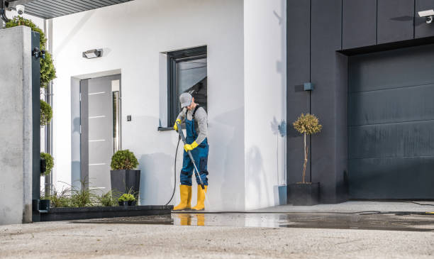 Best Solar Panel Cleaning  in Combee Settlement, FL